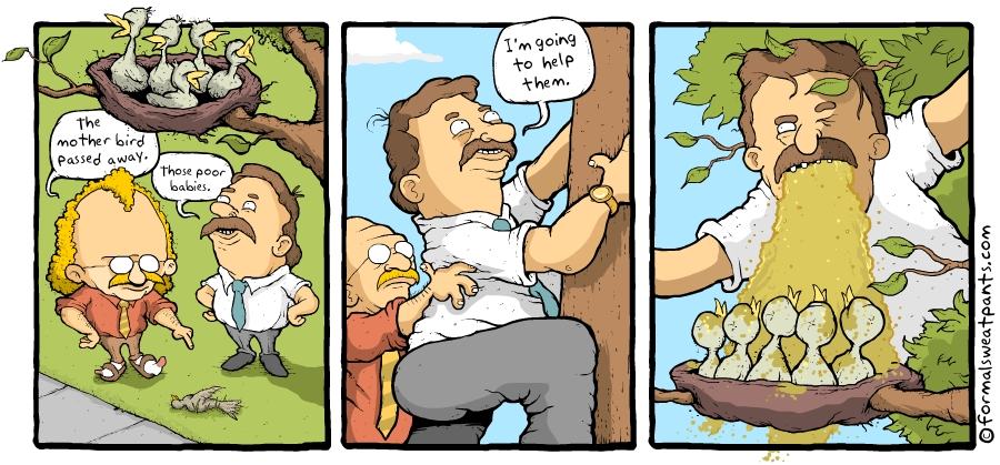 Obrázek Birds Mom