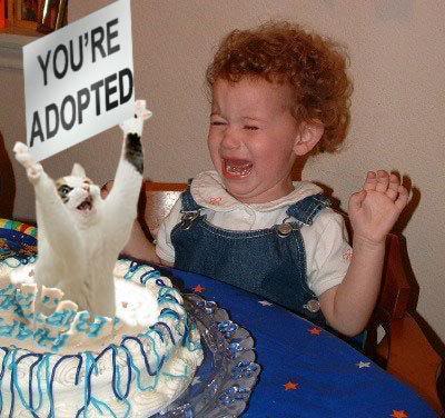 Obrázek Birthday Cake Adopted