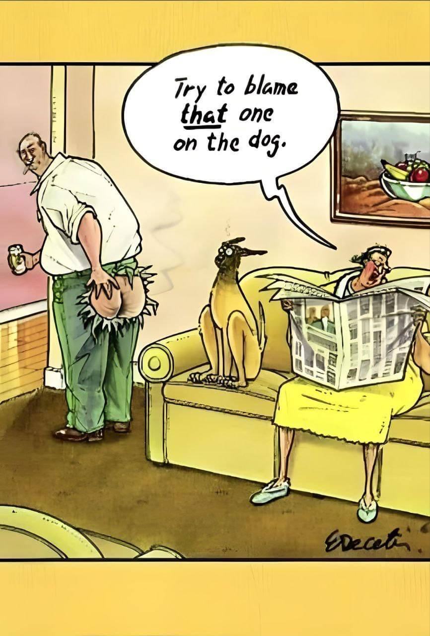 Obrázek BlameTheDog