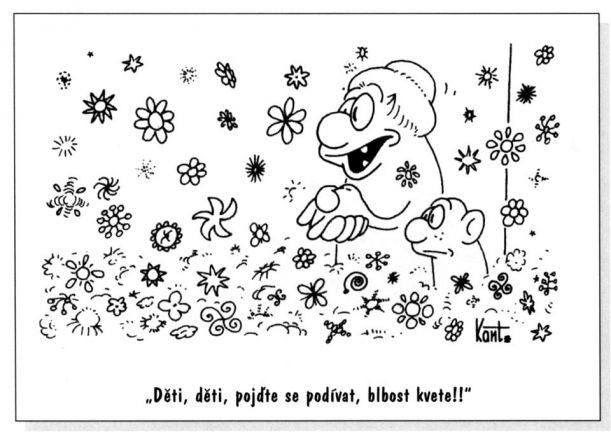 Obrázek Blbost kvete