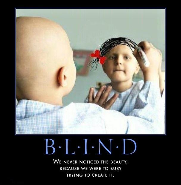 Obrázek Blind 15-03-2012