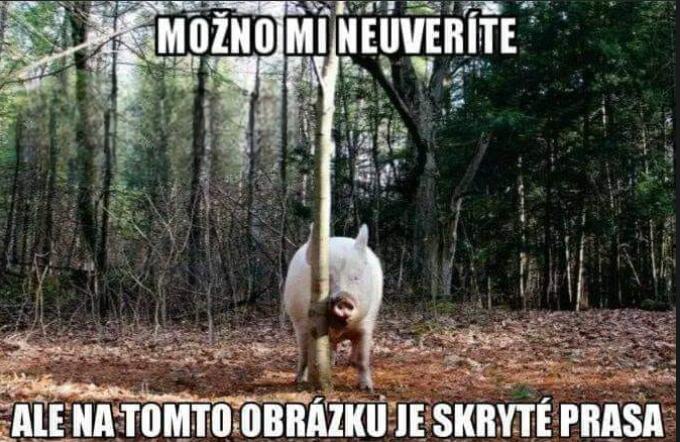 Obrázek Blmatko v ukrytu