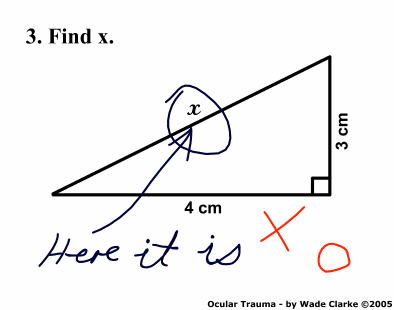 Obrázek Blondes Mathematical Brilliance