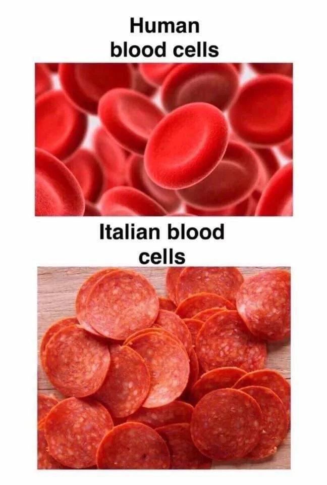 Obrázek Blood cells