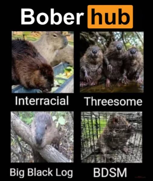 Obrázek BoberHub