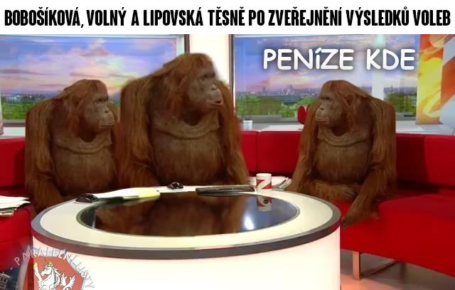 Obrázek Bobo Lipo Kotrmelec-po zverejneni vysledku voleb