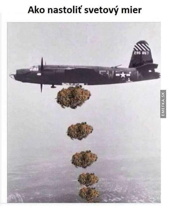 Obrázek Bongobardovani