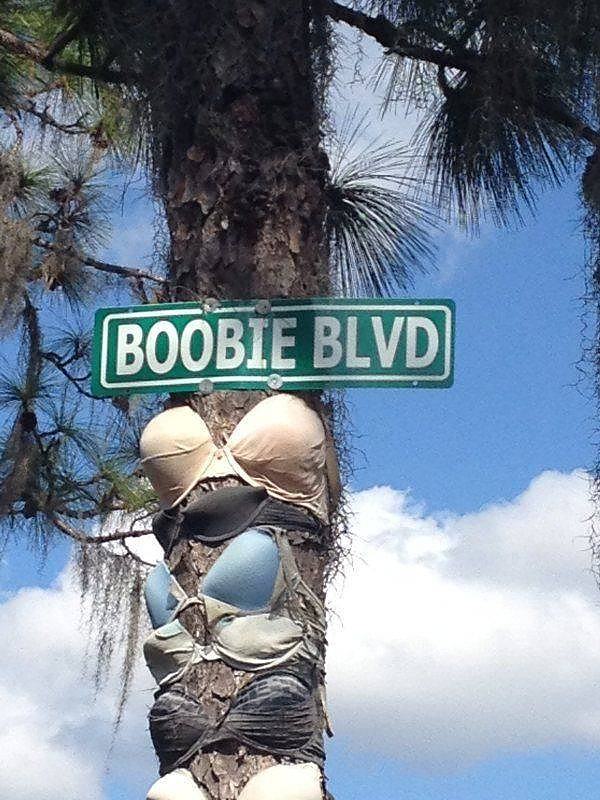 Obrázek BoobieBLVD