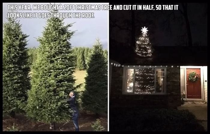 Obrázek Bought A Huge Christmas Tree