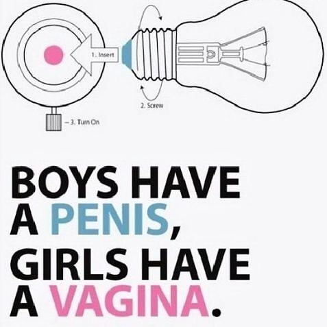 Obrázek Boys have a penis