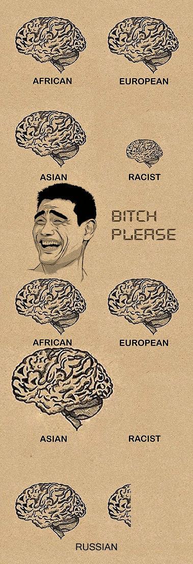 Obrázek Brain sizes 16-01-2012