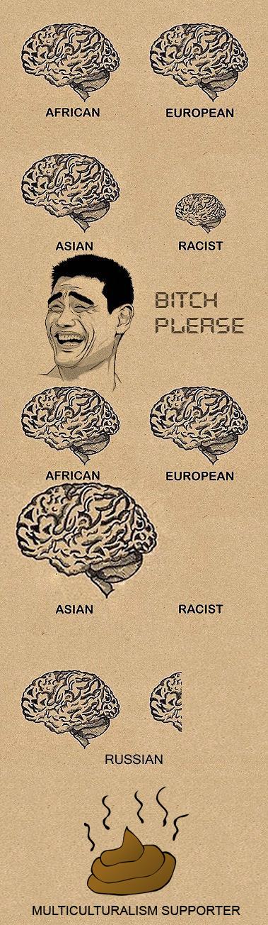 Obrázek Brain sizes fixed