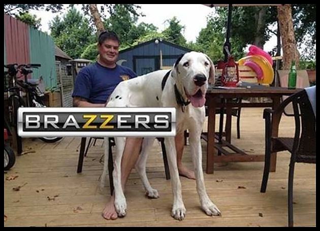 Obrázek Brazzers Logo   