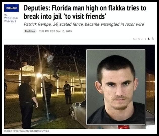 Obrázek Breaking In   