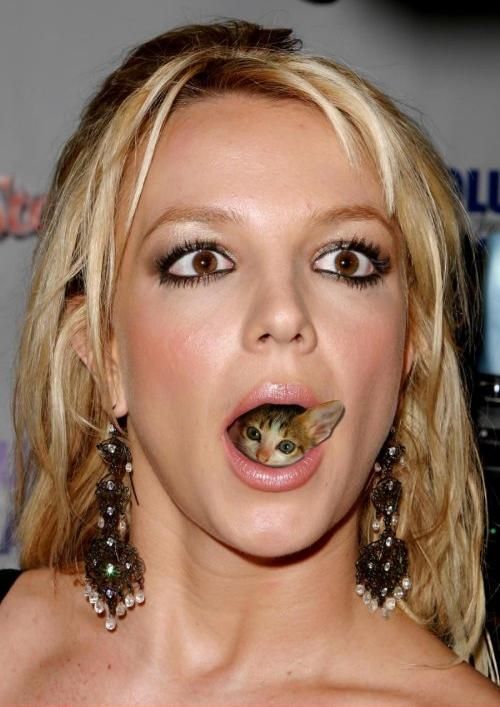 Obrázek Britney zere kocky