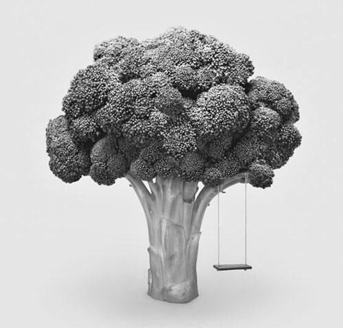 Obrázek Broccoli Shade is the Best Shade