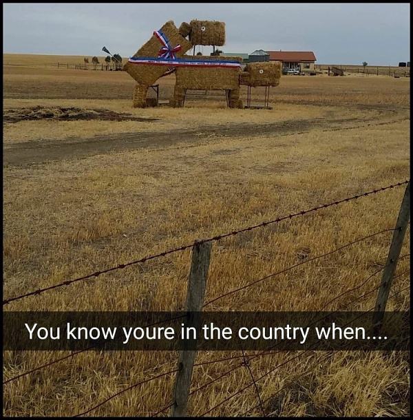 Obrázek Brother just sent me this snap from his road trip