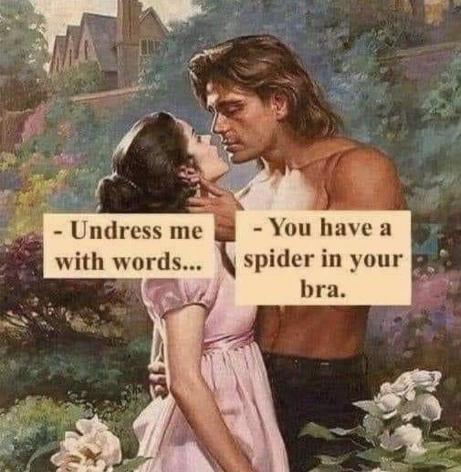 Obrázek Bug in the boobs