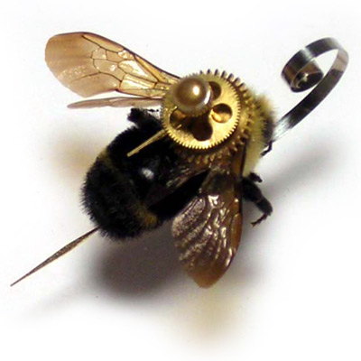Obrázek Bumblebee 1