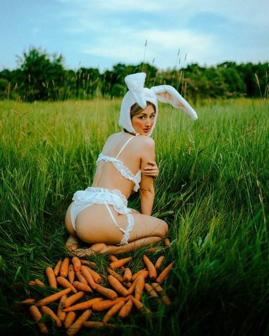 Obrázek Bunny