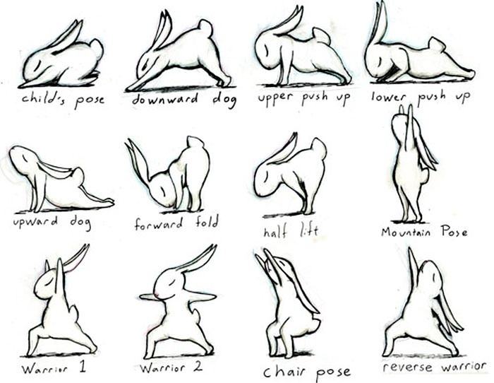 Obrázek Bunny - 28-05-2012
