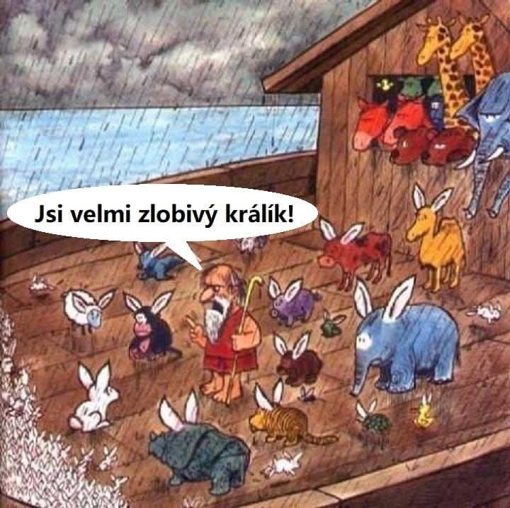 Obrázek Bunnyboat