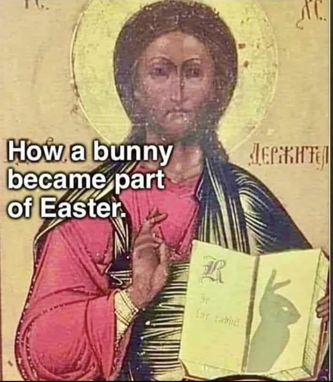 Obrázek Bunnyy
