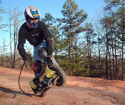 Obrázek Bushpigwheelie