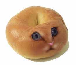 Obrázek CATBAGEL1