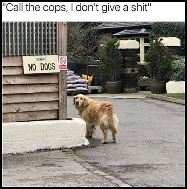 Obrázek Call&nbsp;The&nbsp;Cops4618