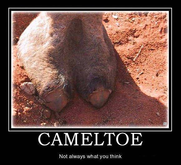 Obrázek Cameltoe - 08-07-2012