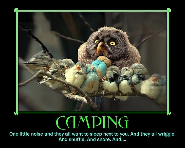 Obrázek Camping - 18-06-2012