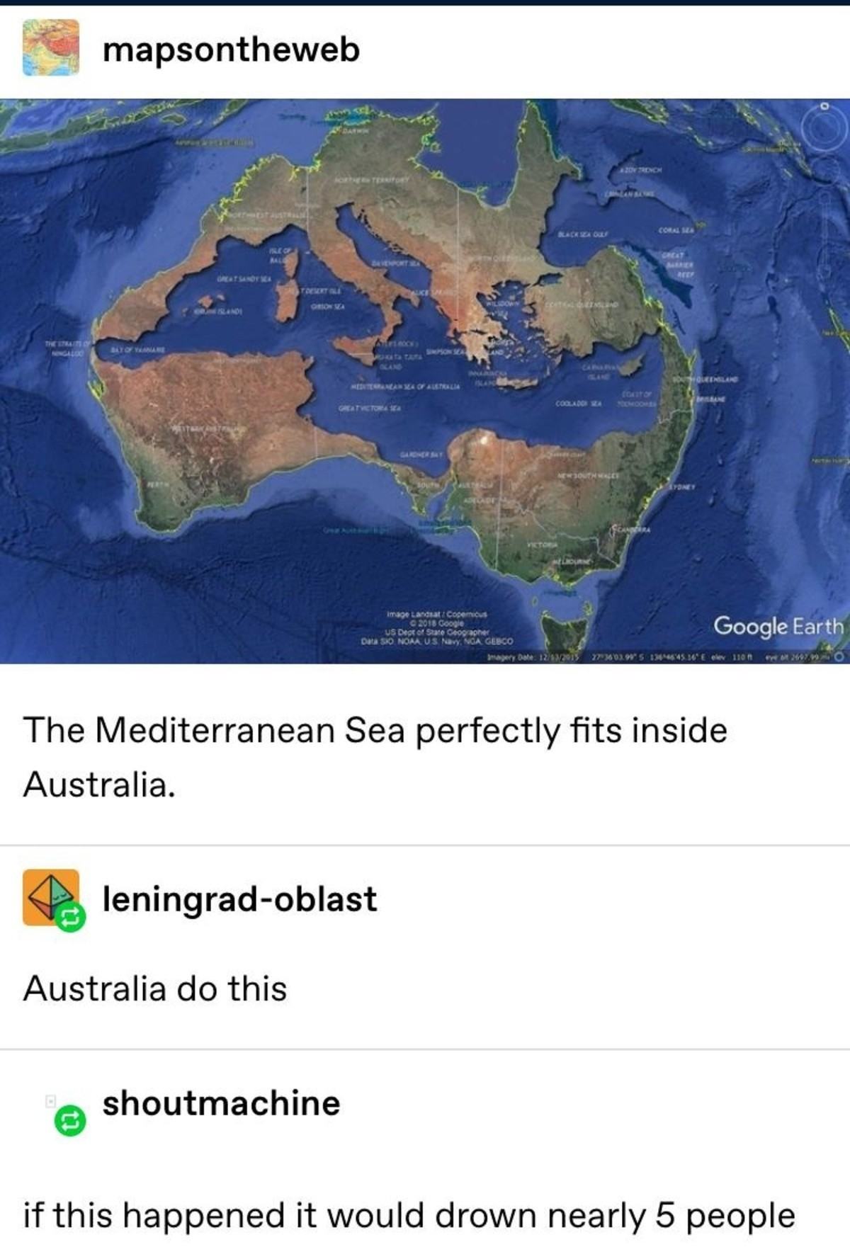 Obrázek Can kangaroos swim