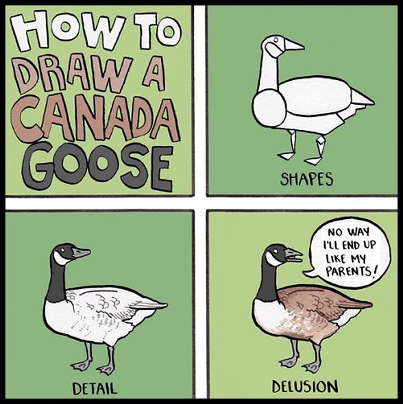 Obrázek CanadaGoose