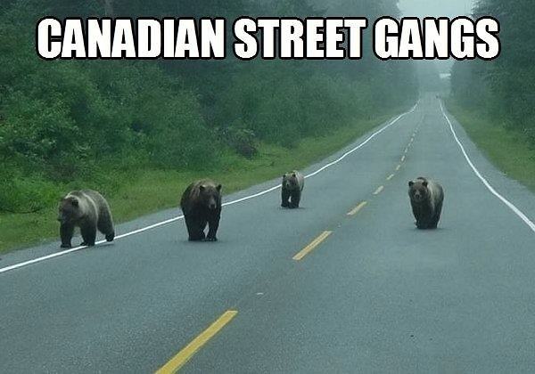 Obrázek Canadian Street Gangs