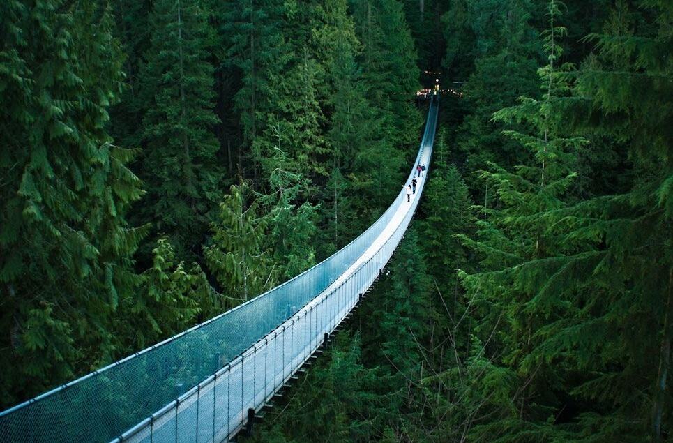 Obrázek Capilano Suspension Bridge