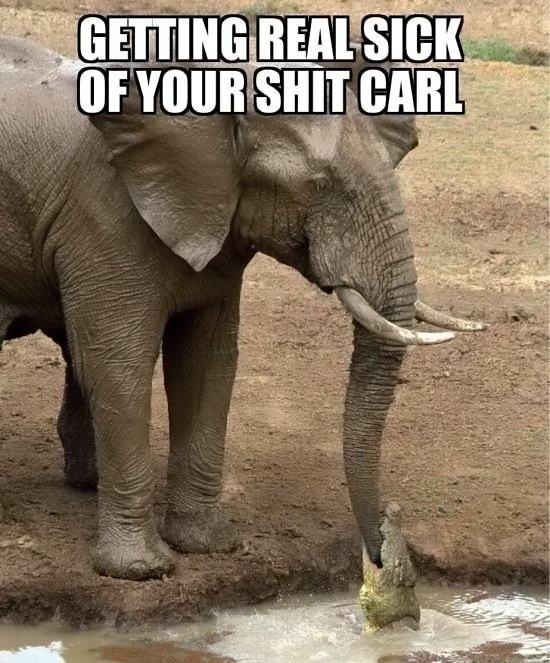 Obrázek Carl just doesnt learn