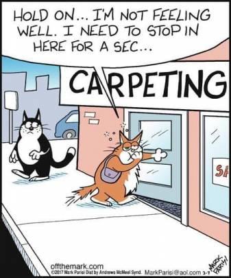 Obrázek Carpeting - where PET is at the heart of Caring