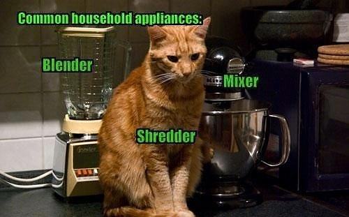 Obrázek Cat Appliance - 29-04-2012