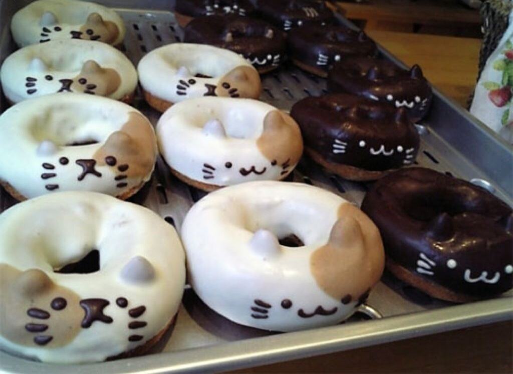 Obrázek Cat Donuts
