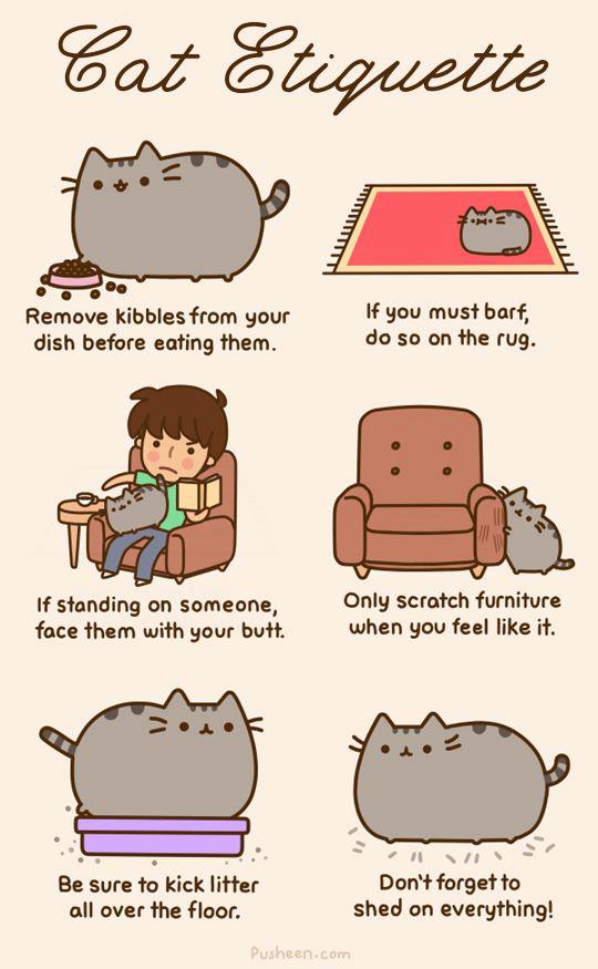 Obrázek Cat Etiquette