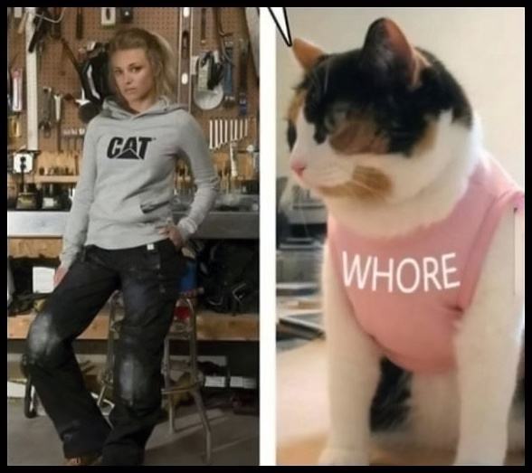 Obrázek Cat Fashion     