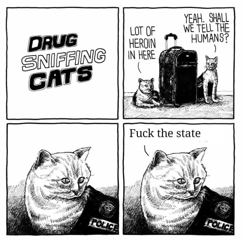 Obrázek Cat Fuck the state