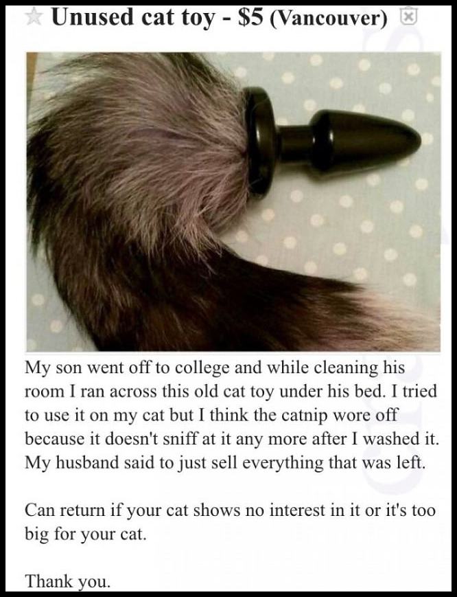 Obrázek Cat Toy9I7