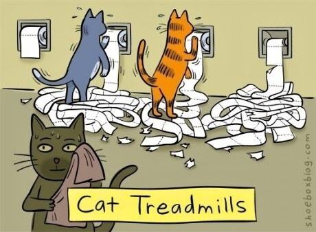 Obrázek Cat Treatmills