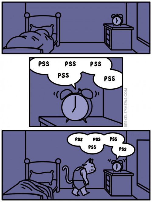 Obrázek Cat alarm clock