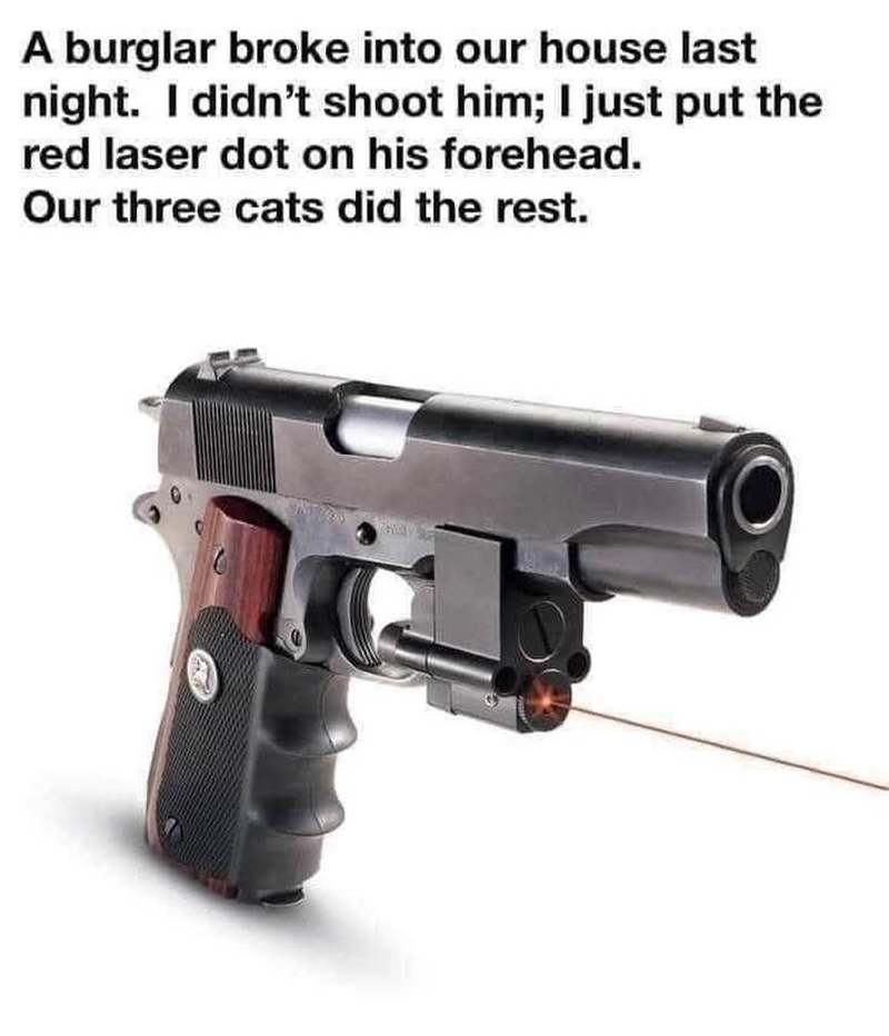 Obrázek Cat burglar cats