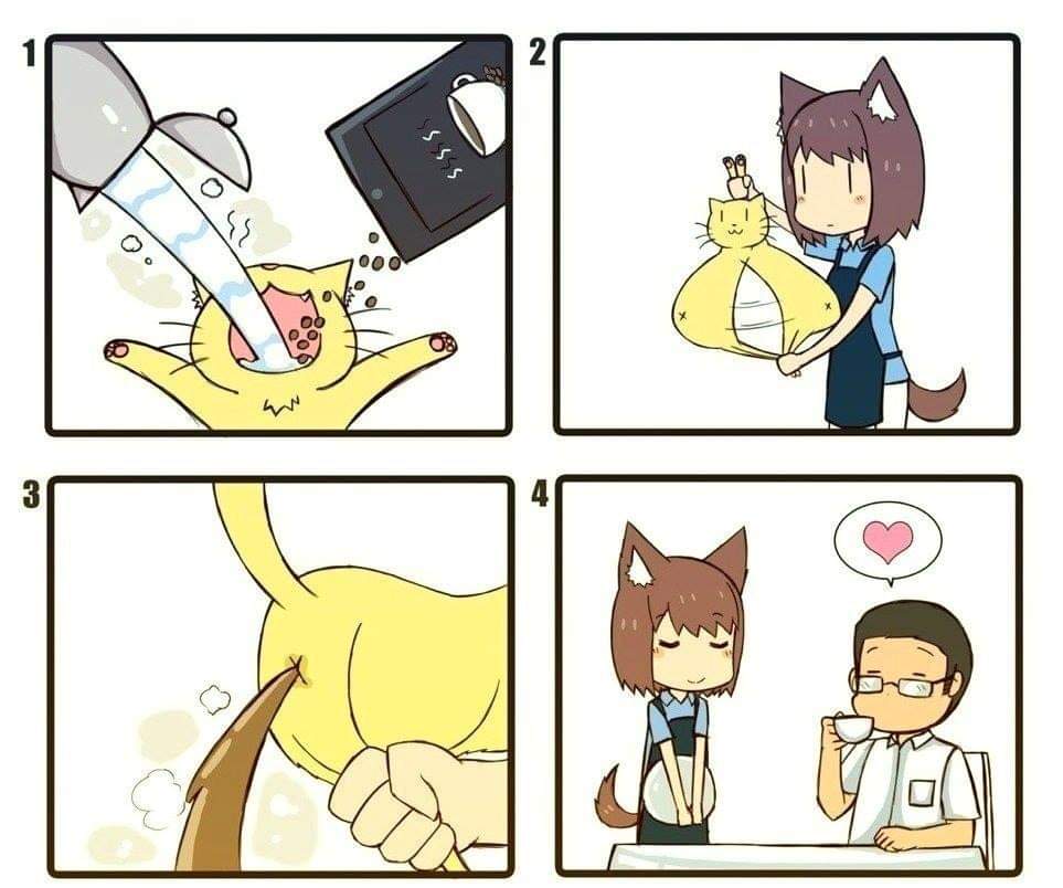 Obrázek Cat cappuccino