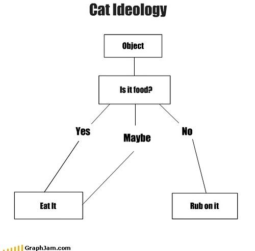 Obrázek Cat ideology 17-01-2012