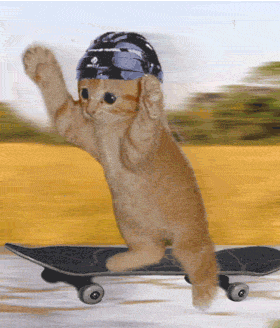 Obrázek Cat skate